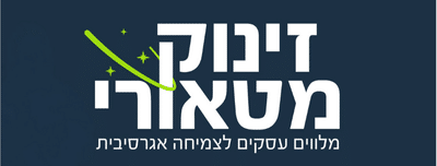 זינוק מטאורי